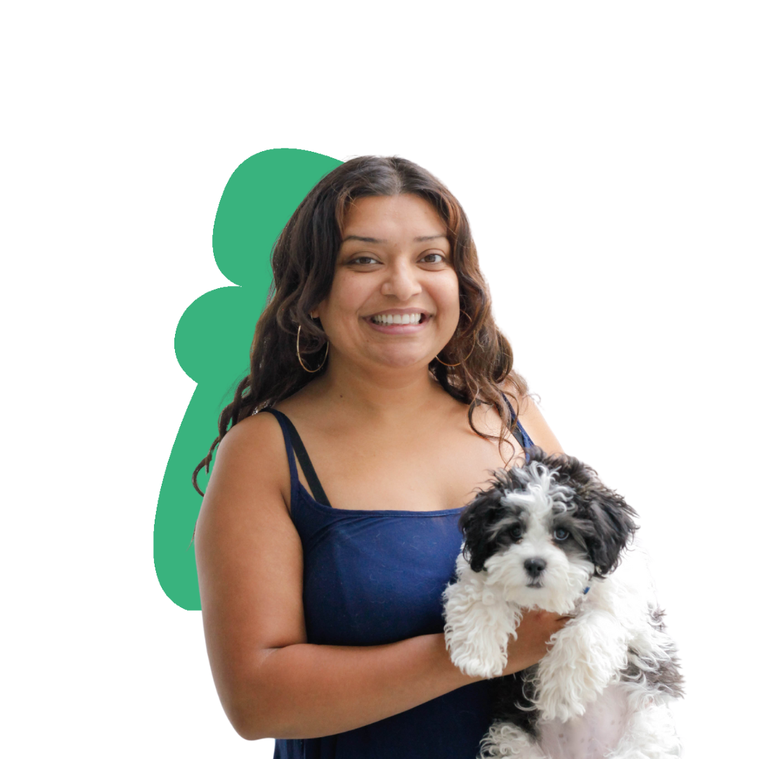 D A smiling woman in a gray beanie hugging a black and white dog wearing a purple harness.