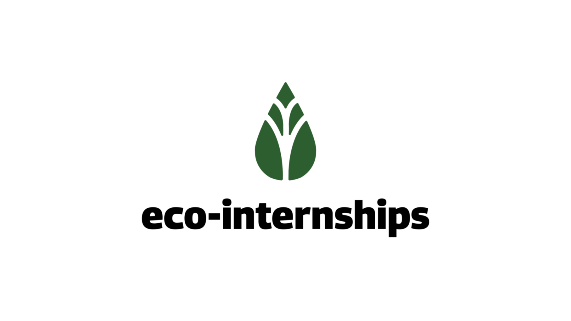 "Eco-Internships" in bold sans-serif, with a green teardrop and engraved tree.