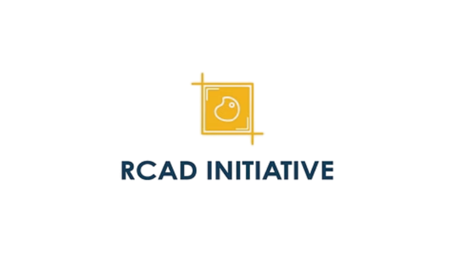 "RCAD Initiative" in bold, capital sans-serif font with a yellow paint palette icon above.